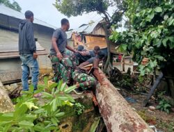 Cuaca Extrime Disertai Angin Kecang, Dansatgas TMMD Reguler Ke 120 Kodim 0105/Abar Imbau Masyarakat Untuk Waspada Bencana Alam Termasuk Pohon Tumbang