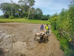 Di Hari Libur Babinsa Koramil 07/Johan Pahlawan Berjibaku Dengan Lumpur Demi Kehidupan Petani Lebih Makmur