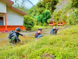 Peduli kebersihan lingkungan gereja, satgas yonif 116/garda samudra gelar karya bakti bersama masyarakat papua