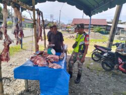 Jelang Idul Adha 1445 H Babinsa Posramil Kuala Pesisir Ceka Haga Daging Megang