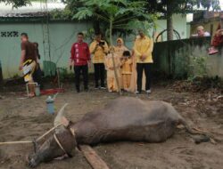 Rayakan Idul Adha 1445 H, Keluarga Besar Kodim 0105/Abar Berqurban Untuk Dibagikan Kepada Masyarakat Kurang Mampu