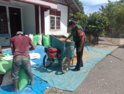 Babinsa Koramil 05/Samadua Bantu Petani Giling Padi di Desa Alur Pinang