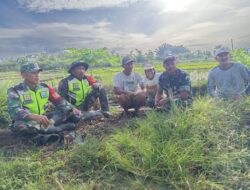 Dengan duduk santai beralaskan tanah dan Rumput Babinsa Posramil Kuala Pesisir Gelar Komsos dengan Petani