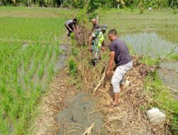 Babinsa Koramil 02/Seunagan bantu petani bersihkan saluran air sawah di Desa binaan