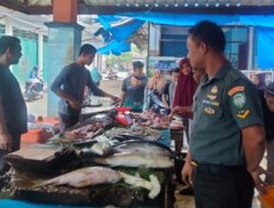 Permintaan ikan di Abdya Meningkat, Babinsa Kontrol Stabilitas Harga