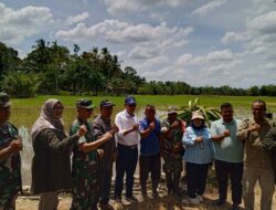 Dandim 0105/Abar Bersama Instansi Terkait Dampingi Tim Monev Pusat Cek Optimasi Lahan Rawa Di Wilayah Aceh Barat