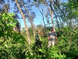 Cegah Dini Karhutlah, Babinsa Posramil 05/PC Sambangi Masyarakat Berikan Reminder Dan Warning Jangan Bakar Lahan