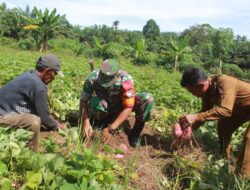 Babinsa Posramil Tadu Raya Laksanakan Komsos di Kampung Pancasila binaan Kodim 0116/Nagan Raya