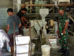 Sambang Kilang Padi, Babinsa Validasi Kekuatan Pangan