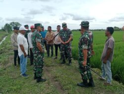 Kapok Sahli Apresiasi Keberhasilan atas Optimasi Lahan (Oplah) Kodim 0116/Nagan Raya