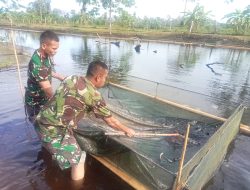 Wujudkan Ketahanan Pangan, Korem 012/TU Budidaya Benih Ikan Nila