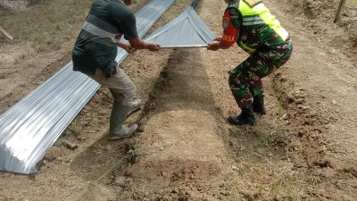 Babinsa Bantu Petani Menyiapkan Lahan Tanaman Sayuran
