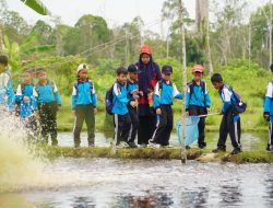 Kenali Dunia Pertanian, Siswa Tunas Cendikia Al-Azhar Kunjungi Kebun Ketahanan Pangan Korem 012/TU