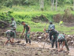 Wujudkan Swasembada Pangan, Korem 012/TU Buka Lahan Sawah di Zona Ketahanan Pangan