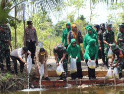 Danrem 012/TU Kunjungi Lahan Unggulan Ketahanan Pangan Kodim 0110/Abdya, Jajal Panen Sayur dan Tebar Benih Ikan