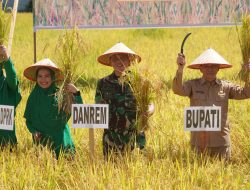 Dorong Peningkatan Produksi Pangan Daerah, Danrem Teuku Umar Panen Raya Padi di Abdya