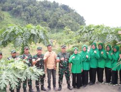 Danrem 012 Apresiasi Pertanian Terpadu Kodim 0107/Asel