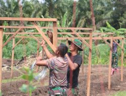 Korem 012/TU Maksimalkan Lahan Ketahanan Pangan, Budidayakan Kacang Panjang dengan Metode Lanjaran