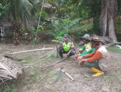 Babinsa Koramil 06/Kluet Utara Lakukan Komsos dengan Petani, Sampaikan Pesan Penting soal Ketahanan Pangan