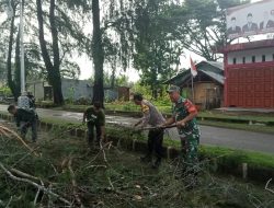 Sinergitas TNI POLRI bersama Masyarakat Sigap Bantu evakuasi Pohon Tumbang di jalan Utama menuju Pelabuhan Calang Aceh Jaya