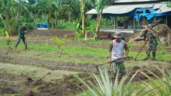 Prajurit Korem 012/TU Rawat Lahan Hanpangan, Wujud Nyata Dukung Ketahanan Pangan Nasional