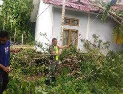 Tanggap Bencana, Babinsa Koramil 14/Pasi Raja Evakuasi Pohon Tumbang di Kantor Keuchik