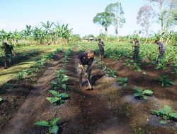 Korem 012/TU Maksimalkan Lahan untuk Dukung Ketahanan Pangan Nasional