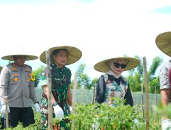 Danrem 012/TU Apresiasi Panen Perdana Kompi Produksi Kodim 0105/Aceh Barat