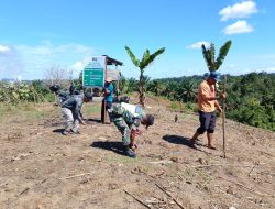 Babinsa Penanggalan Dampingi Petani Desa Kuta Tengah, Dukung Ketahanan Pangan