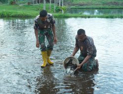 Korem 012/TU Wujudkan Kemandirian Pangan Lewat Budidaya Ikan Nila