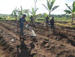 Bukti Nyata Dukung Program Asta Cita, Korem 012/TU Sukses Kembangkan Lahan Ketahanan Pangan