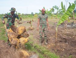 Korem 012/Teuku Umar Terus Kembangkan Ketahanan Pangan Berbasis Inovasi dan Pemanfaatan Limbah Sawit