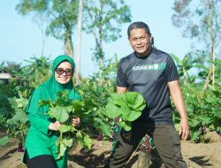 Korem 012/Teuku Umar Gelar Panen Raya dikebun Ketahanan Pangan