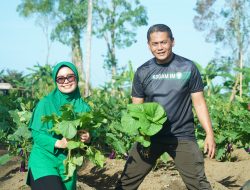 Lahan Hanpangan Korem 012/TU Hasilkan Sayur Segar dan Ikan Nila, Wujud Ketahanan Pangan Nyata