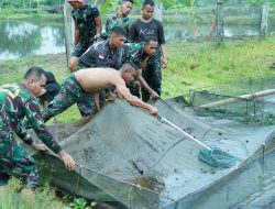 Korem 012/Teuku Umar Dorong Swasembada Pangan Lewat Budidaya Ikan Nila