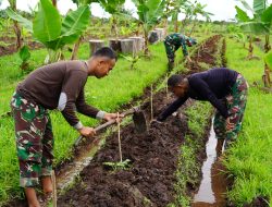 Buah semangka Tumbuh Subur di Lahan Ketahanan Pangan Korem 012/TU
