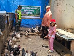 Babinsa Koramil 13/Kluet Timur Dampingi Peternak Bebek di Wilayah Binaan