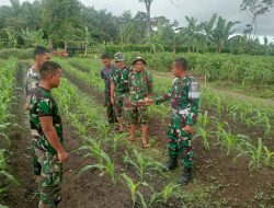 KOREM 012/TEUKU UMAR BERIKAN MATERI KETAHANAN PANGAN KEPADA KADER YONIF 856/SBS