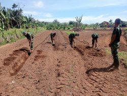Wujudkan Ketahanan Pangan, Prajurit Korem 012/TU Aktif Rawat Tanaman Hortikultura